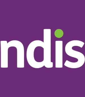 ndis-home-logo-img